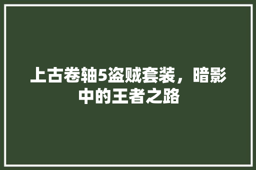 上古卷轴5盗贼套装，暗影中的王者之路