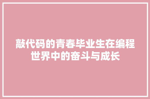 敲代码的青春毕业生在编程世界中的奋斗与成长