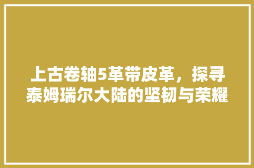 上古卷轴5革带皮革，探寻泰姆瑞尔大陆的坚韧与荣耀