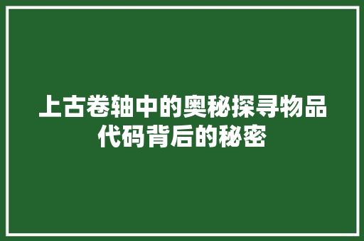 上古卷轴中的奥秘探寻物品代码背后的秘密