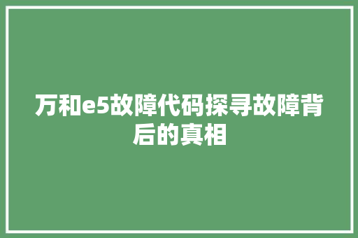 万和e5故障代码探寻故障背后的真相
