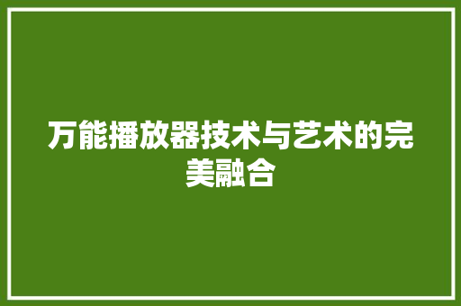 万能播放器技术与艺术的完美融合