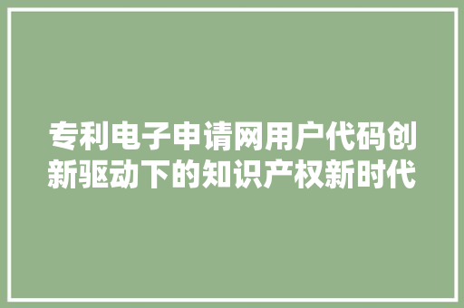 专利电子申请网用户代码创新驱动下的知识产权新时代