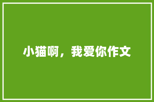 专项储备构建稳健金融体系的基石