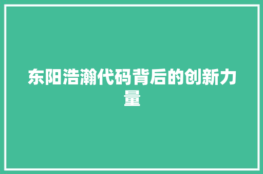 东阳浩瀚代码背后的创新力量