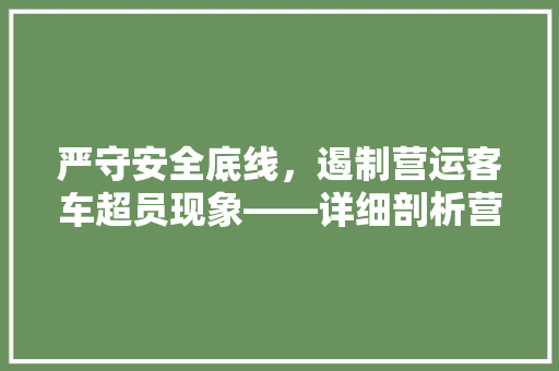 严守安全底线，遏制营运客车超员现象——详细剖析营运客车超员代码及治理步骤