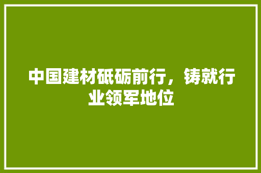中国建材砥砺前行，铸就行业领军地位