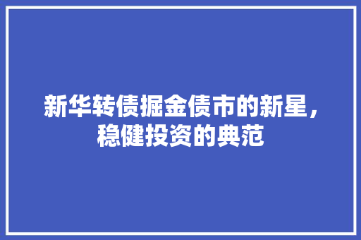 新华转债掘金债市的新星，稳健投资的典范