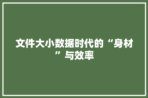 文件大小数据时代的“身材”与效率