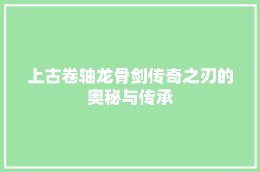 上古卷轴龙骨剑传奇之刃的奥秘与传承