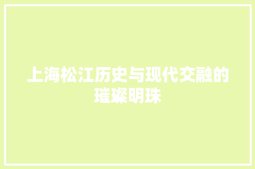 上海松江历史与现代交融的璀璨明珠  第1张