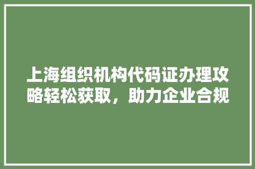 上海组织机构代码证办理攻略轻松获取，助力企业合规发展
