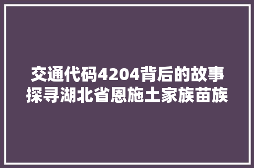 交通代码4204背后的故事探寻湖北省恩施土家族苗族自治州的交通变迁