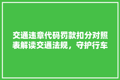 交通违章代码罚款扣分对照表解读交通法规，守护行车安全