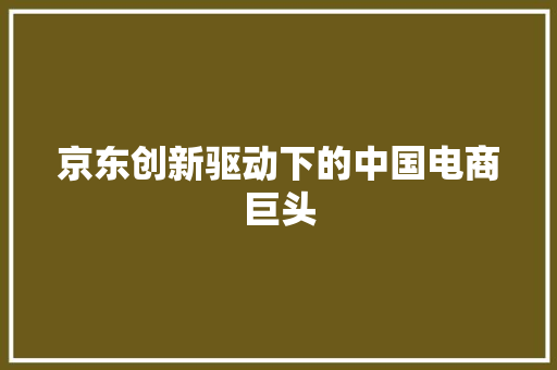 京东创新驱动下的中国电商巨头