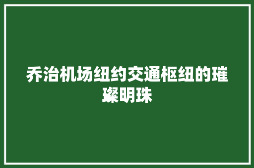 乔治机场纽约交通枢纽的璀璨明珠