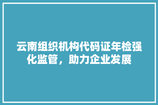 云南组织机构代码证年检强化监管，助力企业发展