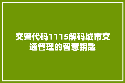 交警代码1115解码城市交通管理的智慧钥匙