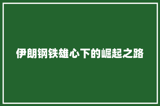 伊朗钢铁雄心下的崛起之路