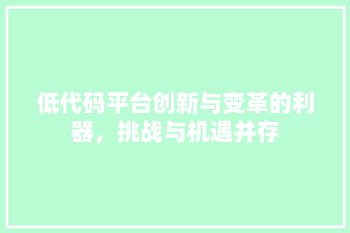 低代码平台创新与变革的利器，挑战与机遇并存
