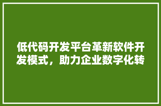 低代码开发平台革新软件开发模式，助力企业数字化转型