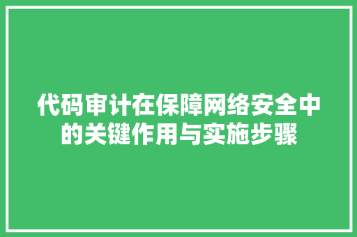 代码审计在保障网络安全中的关键作用与实施步骤