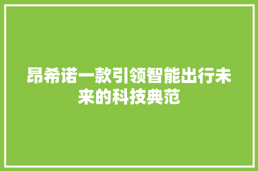 昂希诺一款引领智能出行未来的科技典范