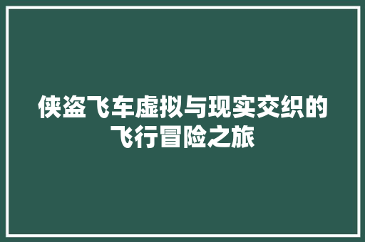 侠盗飞车虚拟与现实交织的飞行冒险之旅
