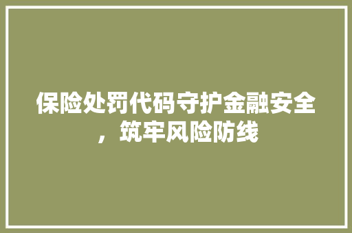 保险处罚代码守护金融安全，筑牢风险防线