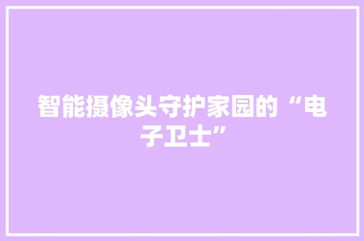 智能摄像头守护家园的“电子卫士”