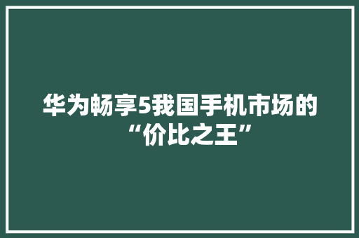 华为畅享5我国手机市场的“价比之王”