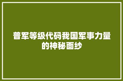 普军等级代码我国军事力量的神秘面纱