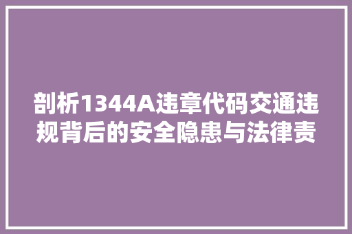 剖析1344A违章代码交通违规背后的安全隐患与法律责任