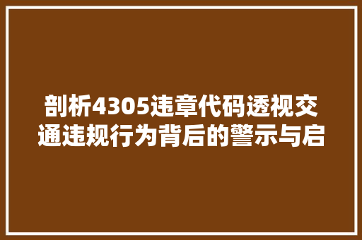剖析4305违章代码透视交通违规行为背后的警示与启示