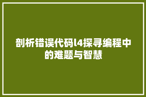 剖析错误代码l4探寻编程中的难题与智慧