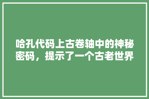 哈孔代码上古卷轴中的神秘密码，提示了一个古老世界的秘密