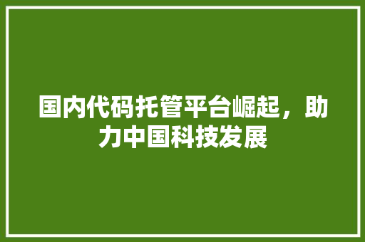 国内代码托管平台崛起，助力中国科技发展