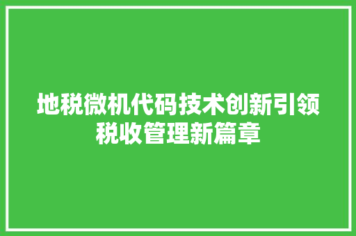 地税微机代码技术创新引领税收管理新篇章