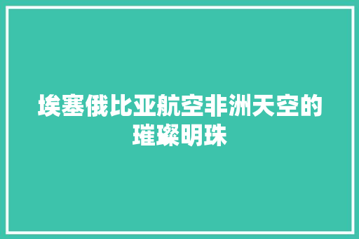 埃塞俄比亚航空非洲天空的璀璨明珠