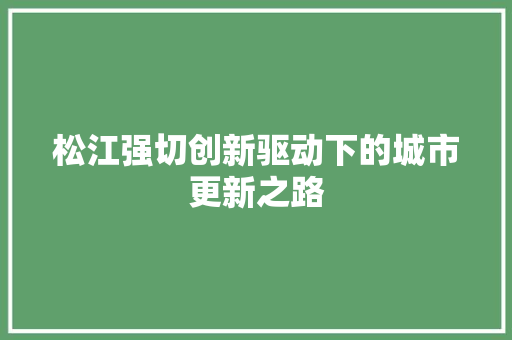 松江强切创新驱动下的城市更新之路