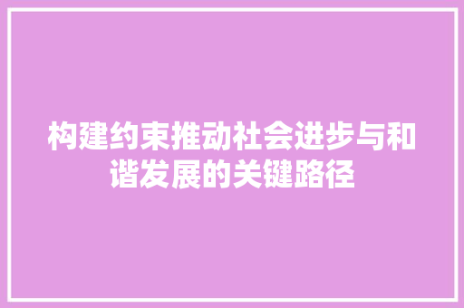 构建约束推动社会进步与和谐发展的关键路径
