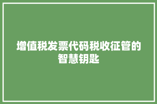 增值税发票代码税收征管的智慧钥匙