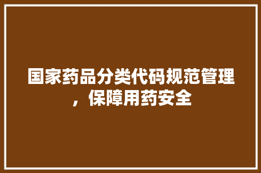 国家药品分类代码规范管理，保障用药安全