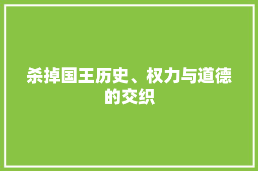 杀掉国王历史、权力与道德的交织