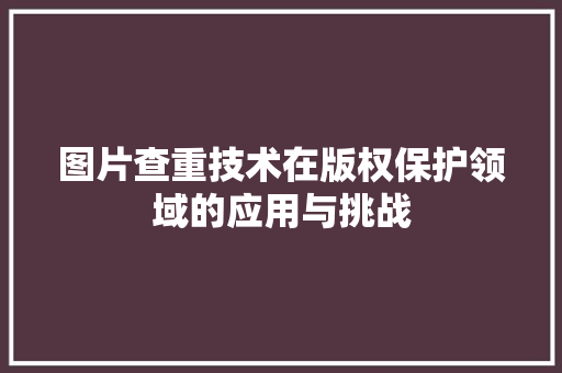 图片查重技术在版权保护领域的应用与挑战