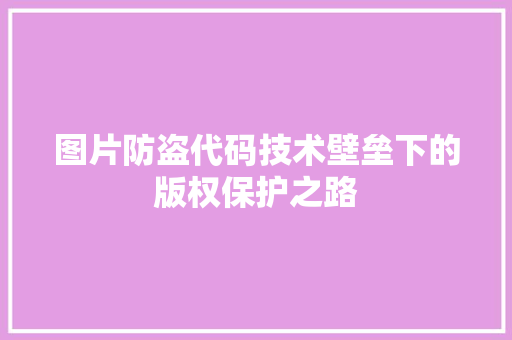 图片防盗代码技术壁垒下的版权保护之路