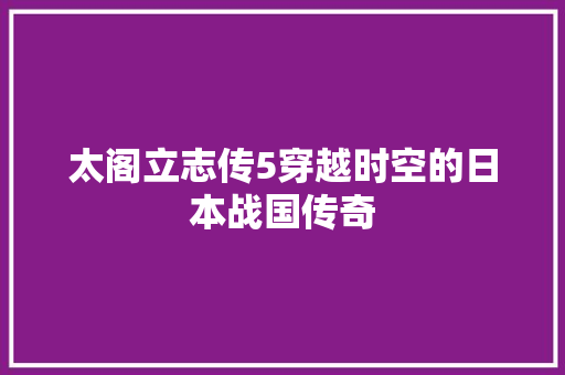 太阁立志传5穿越时空的日本战国传奇