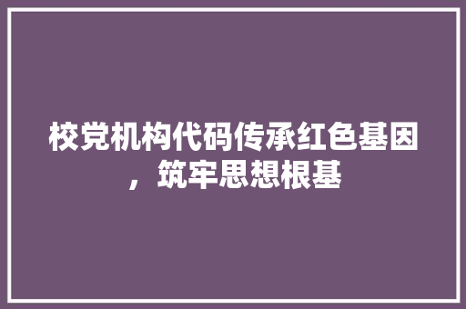 校党机构代码传承红色基因，筑牢思想根基