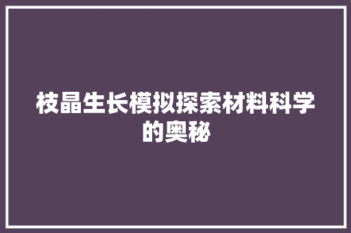 枝晶生长模拟探索材料科学的奥秘