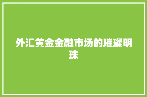 外汇黄金金融市场的璀璨明珠